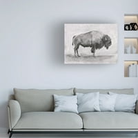 Emma Scarvi istraživanje o divljim bizonima ulje na platnu