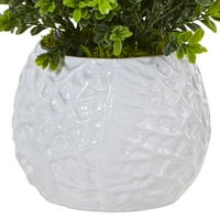 Gotovo prirodna umjetna biljka šimšira u bijeloj vazi