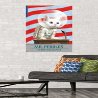 Zidni plakat u Mumbaiju-Gospodin Pebbles - prva mačka u svemiru, 22.375 34