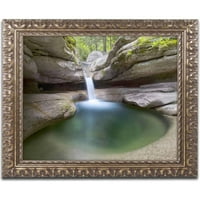 Zaštitni znak likovne umjetnosti 'Sabbaday Green Pool' platno umjetnost Michaela Blanchette Photography, zlatni ukrašeni okvir