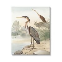 Ptice divlje čaplje smještene na slikovitom travnatom potoku, galerija slika, zidna umjetnost s printom na platnu, dizajn;
