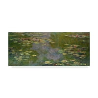 Vodeni ljiljani i 'platno umjetnost Claude O. Monet