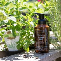 Teorija mirisa aromaterapija pjenast sapun za ruke, osvježavajući ružmarin i metvica, fl oz